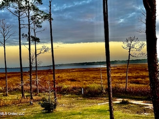 6301 Mary Mahoney Dr, Ocean Springs, MS 39564
