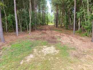1009 Mount Pleasant Church Rd, Manson, NC 27553