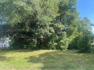 TBD SW 81st St, Dunnellon, FL 34432