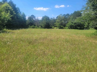 0 226 Hwy Unit 10195976, Savannah, TN 38372