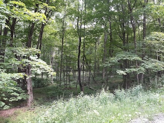 1407 Eminence Rd, East Branch, NY 13756