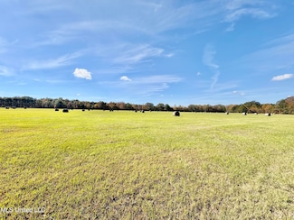 6910 Bowling Green Rd, Durant, MS 39063