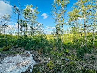 M06L01 Graffam Rd, Casco, ME 04015