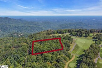 241 May Apple Way, Landrum, SC 29356