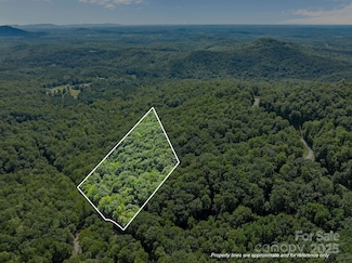 0000 Peartree Dr Unit 487, Lake Lure, NC 28746