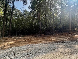 13997 Davenport Rd, Byhalia, MS 38611