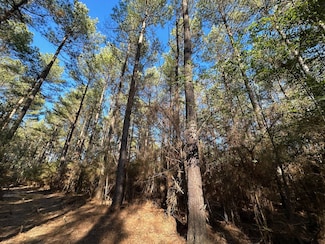 2 Pleasant Ln, Wesson, MS 39191