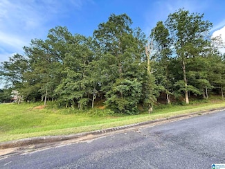 7577 Colonial Trace Cir Unit 23, Bessemer, AL 35022