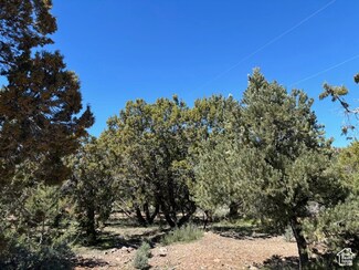 277 N Pinion Cir Unit 9, Central, UT 84722