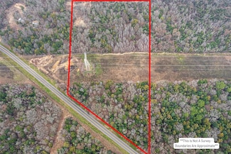 TBD Farm To Market 900, Mount Vernon, TX 75457