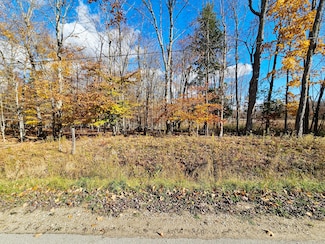 Parcel A North Rd, Curtis, MI 49820