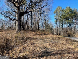 01 Thompson Ln, Jasper, GA 30143
