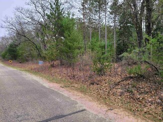 16.78 AC Elk Dr, Adams, WI 53910
