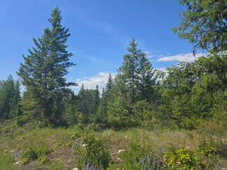 3715 Hill Loop Rd, Kettle Falls, WA 99141