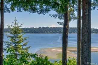 8307 161st Ave SW, Long Branch, WA 98351
