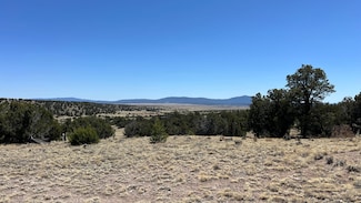 47 Golden Horseshoe Trail, Quemado, NM 87829