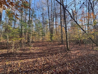 83 Stephen Rd, Little Meadows, PA 18830