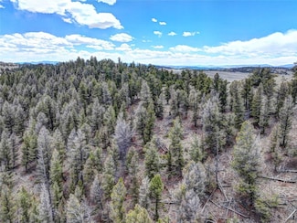 0 Galahad Way Unit S1048485, Hartsel, CO 80449
