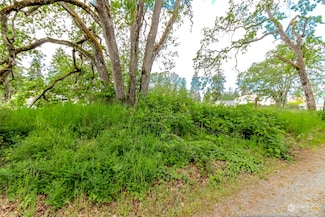 0 Fairlawn Dr SW, Lakewood, WA 98499