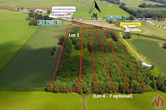 3 Jack Springs Rd Unit Lot 3 (Lots 4-7 opti, Atmore, AL 36502