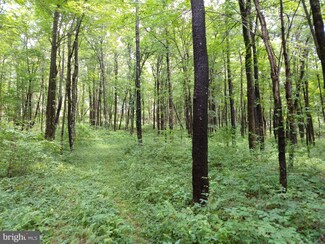 0 Cranesville Rd, Terra Alta, WV 26764