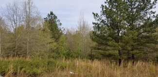 0 Hwy 208 Unit 4 143945, Butler, GA 31006