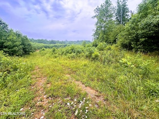 0 13 44 Ac Chestnut Ridge Rd, Allardt, TN 38504