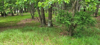 A10.10 Pennsylvania 534, Albrightsvlle, PA 18210
