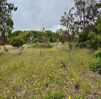 00 Bonita, Half Moon Bay, CA 94019