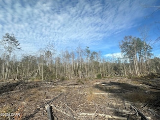 Tract 6331 Sellers Rd, Bonifay, FL 32425