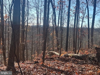 38196 Lime Kiln Rd, Middleburg, VA 20117