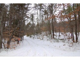 lot 7-069 Bog, Warner, NH 03278