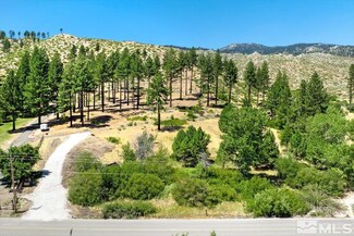 5559 Franktown Rd, Washoe Valley, NV 89704