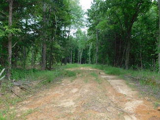 TBD Groundhog Rd, Gilmer, TX 75644