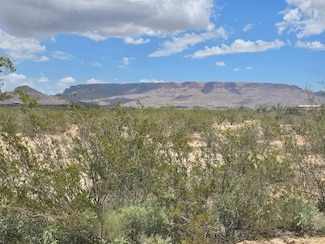 15869 Tennyson Desert Trail, Terlinuga, TX 79852