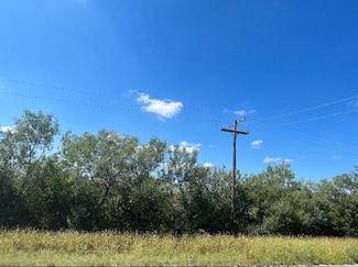 1769 Farm To Market 2295, Benavides, TX 78376