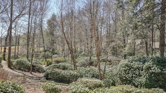 TBD Crescent Trail, Highlands, NC 28741