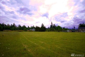 0 Xx McConkey Ln Unit 889063, McCleary, WA 98557
