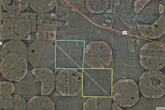 500 acre Carters Mill Rd, Brinson, GA 39825