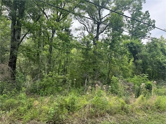 12558 Central Ave, Roseland, LA 70456