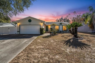 1215 Edgerton Dr, Valrico, FL 33594