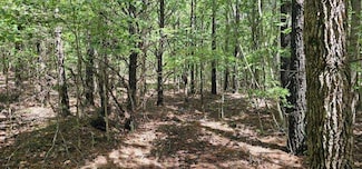 0 Sunset Rd Unit 1513110, Spencer, TN 38585