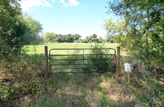 Lot 4 County Road 4612, Tira, TX 75482