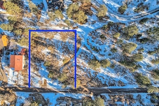 0 Buena Vista Ave Unit REC5301166, Palmer Lake, CO 80133