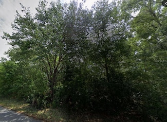 88 Chinaberry Cir, Sugarmill Woods, FL 34446