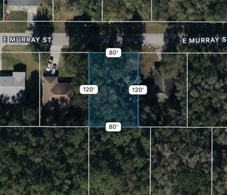 3404 E Murray St, Inverness Highlands North, FL 34453