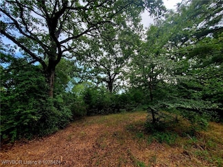 0000 TBD Ridge Rd, Poteau, OK 74953