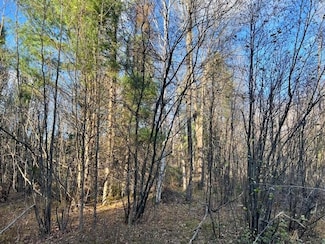 0 Barker Rd Unit 50317828, Amberg, WI 54102