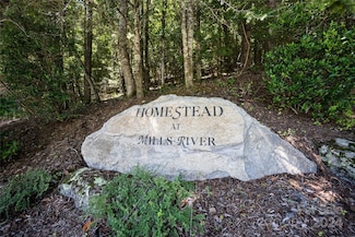 1018 Mills River Way, Horse Shoe, NC 28742