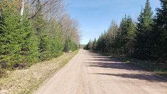 Lot 9 South Lake Rd, Phillips, WI 54555